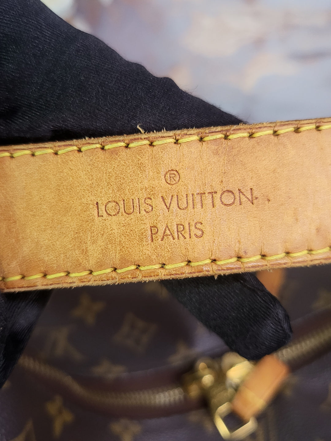 Louis Vuitton Monogram Sully PM