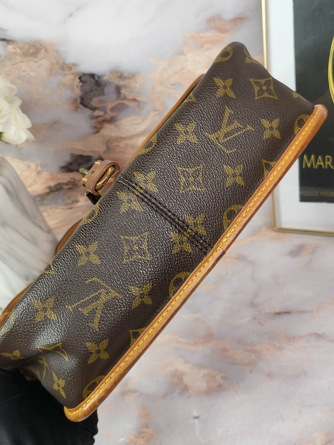 Louis Vuitton Monogram Sologne Bag