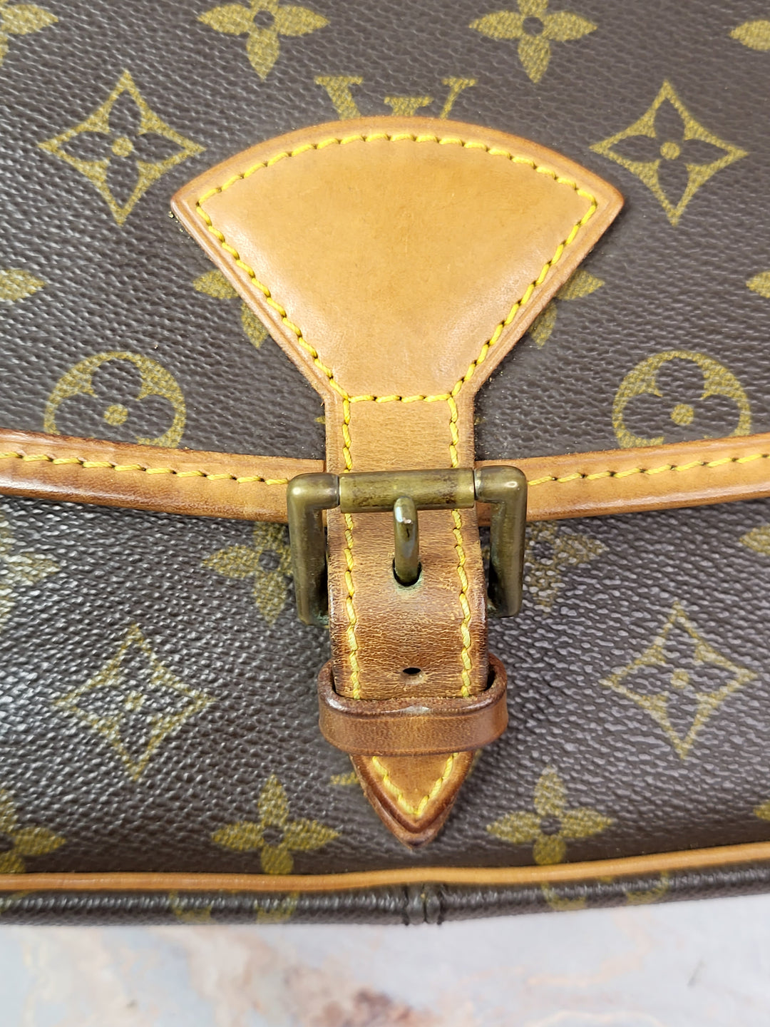 Louis Vuitton Monogram Sologne Bag