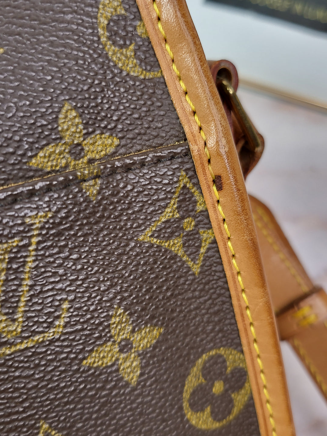 Louis Vuitton Monogram Sologne Bag