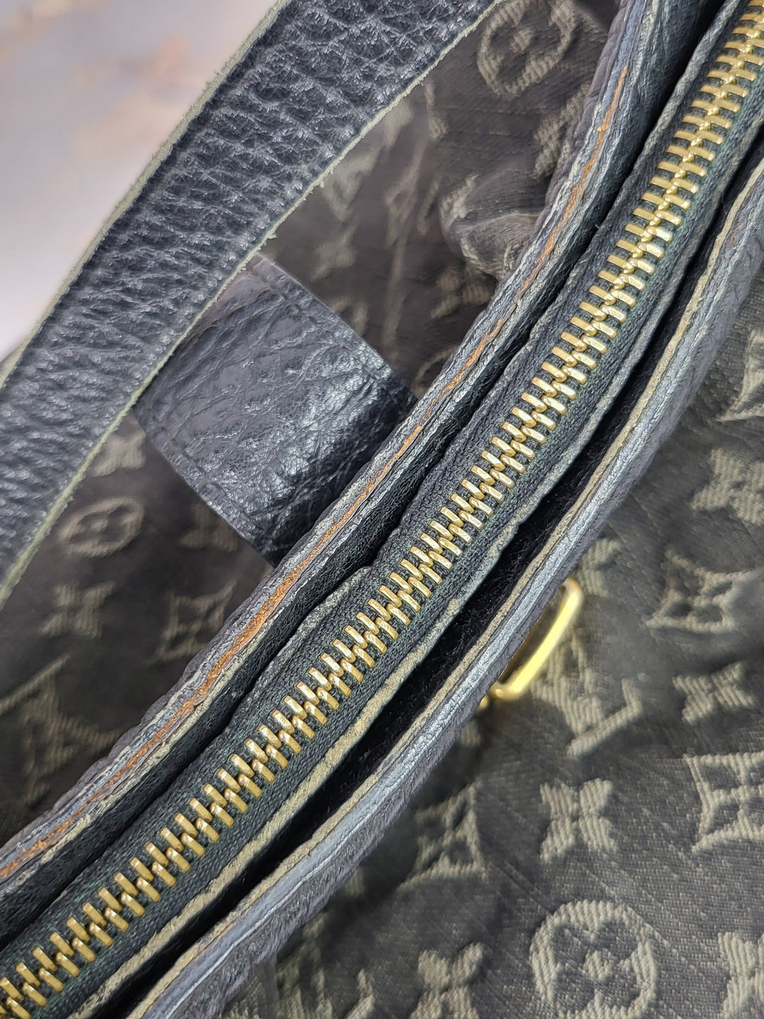 Louis Vuitton Mahina Denim XS