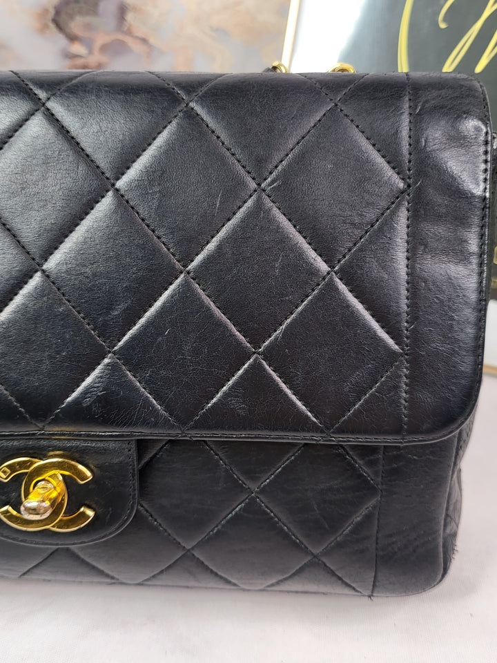 Chanel Lambskin Vintage Diana Flap