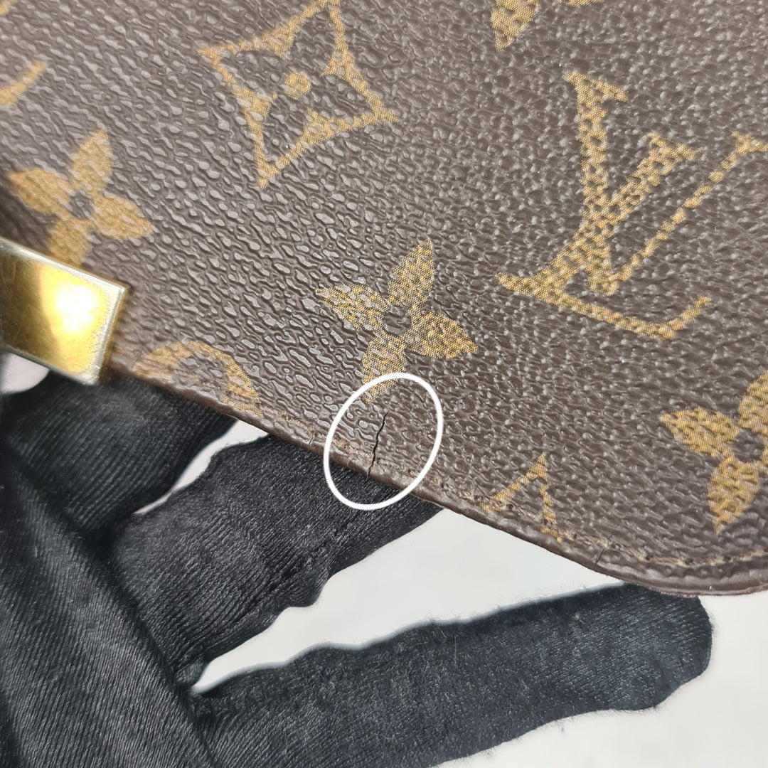 Louis Vuitton Monogram Favorite MM