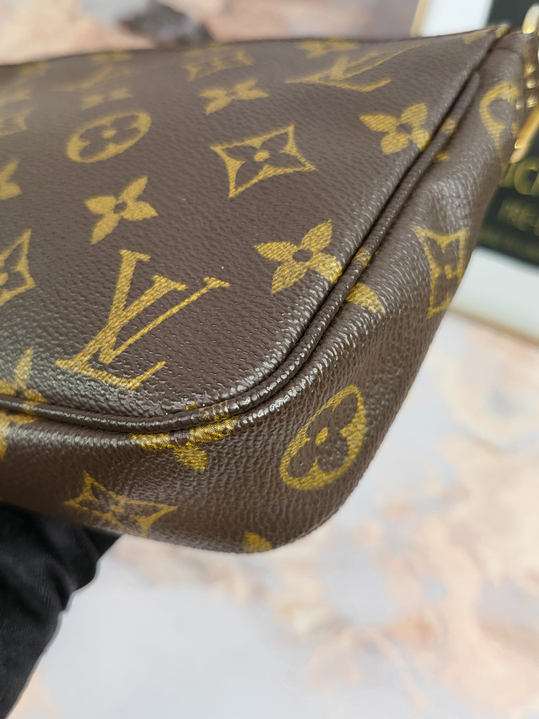 Louis Vuitton Monogram Pochette Accessories