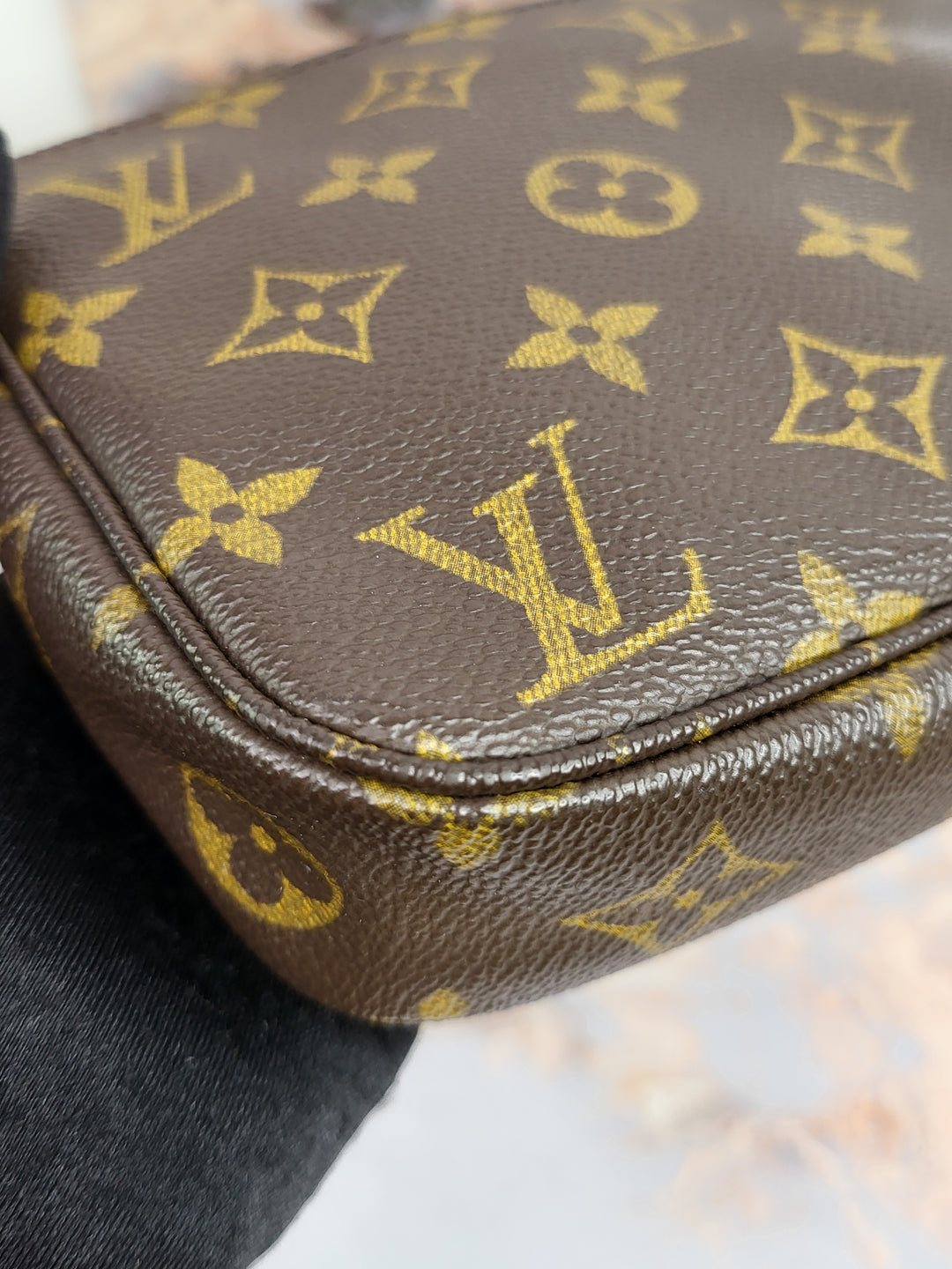 Louis Vuitton Monogram Pochette Accessories