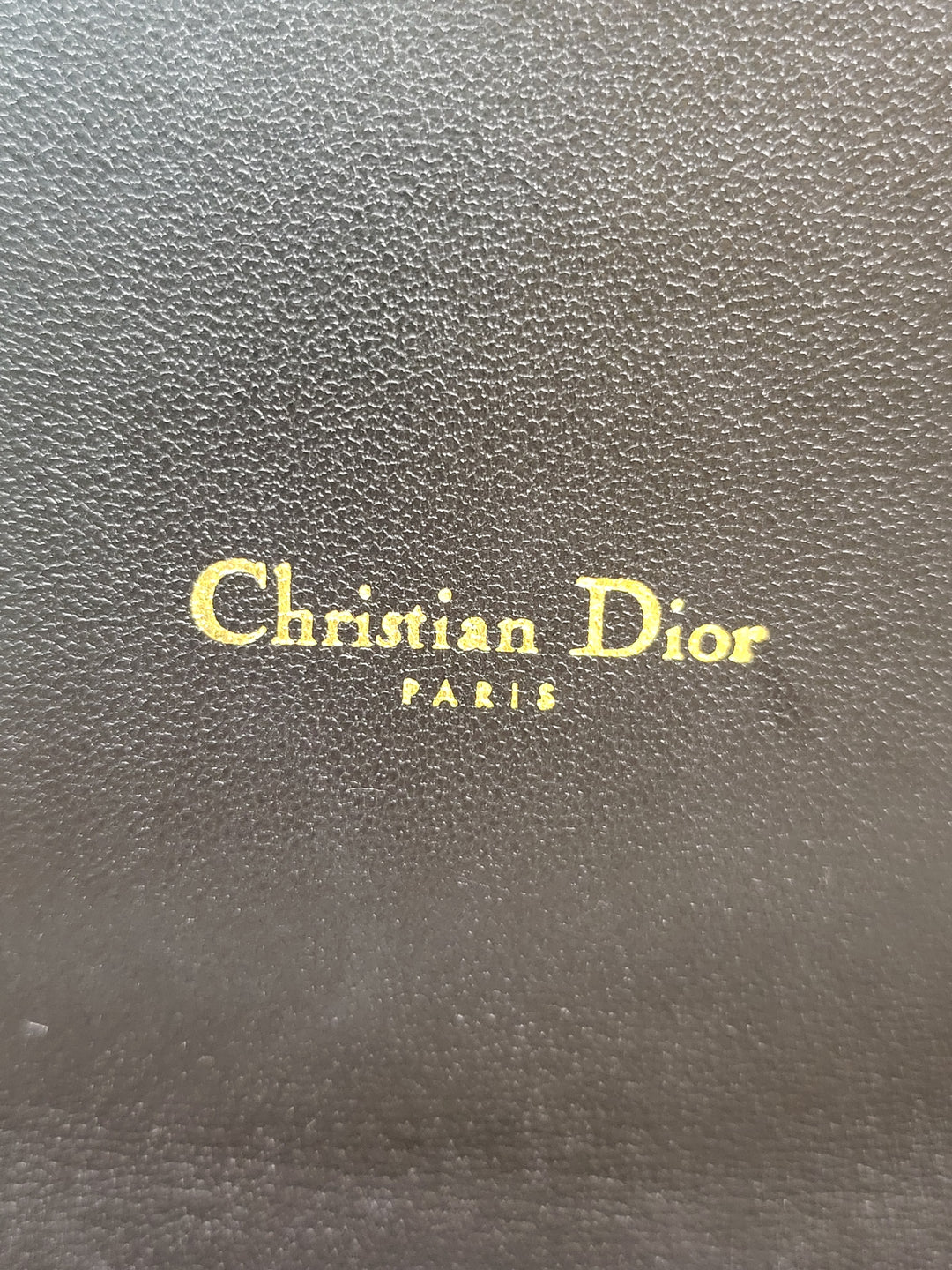 Christian Dior Caro Belt / Sling Pouch