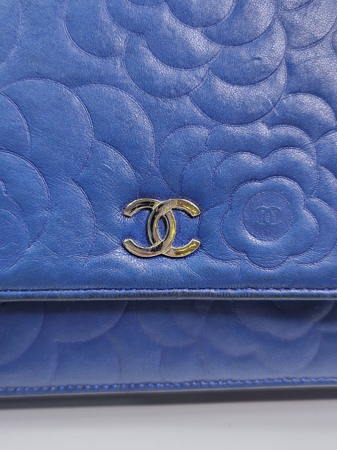 Chanel Camelia Wallet On Chain