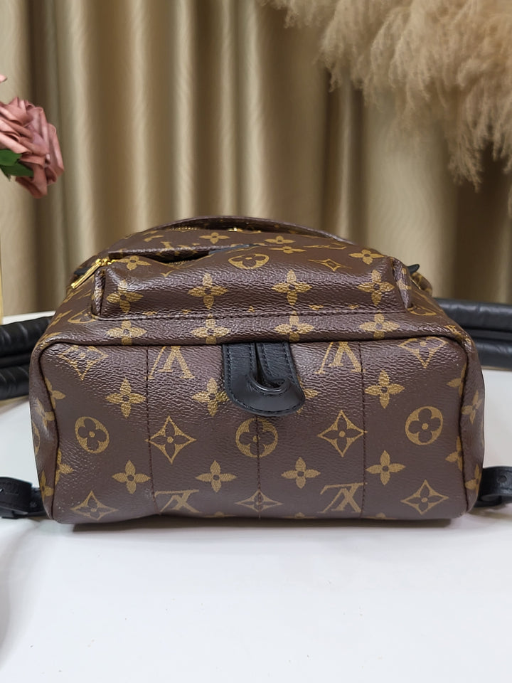 Louis Vuitton Monogram Palmspring PM