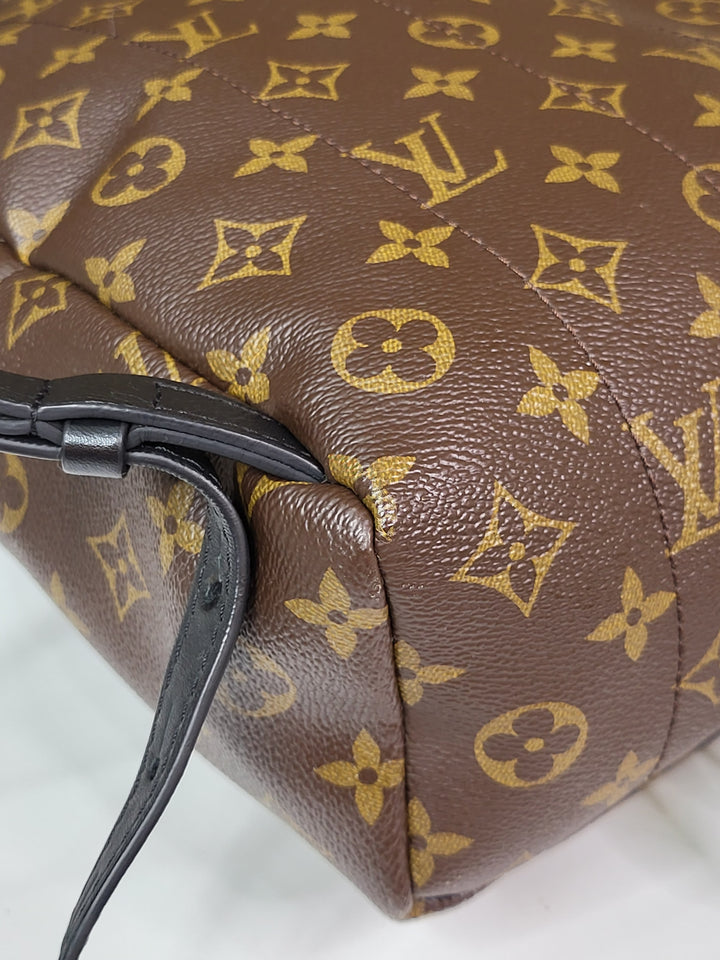 Louis Vuitton Monogram Palmspring PM