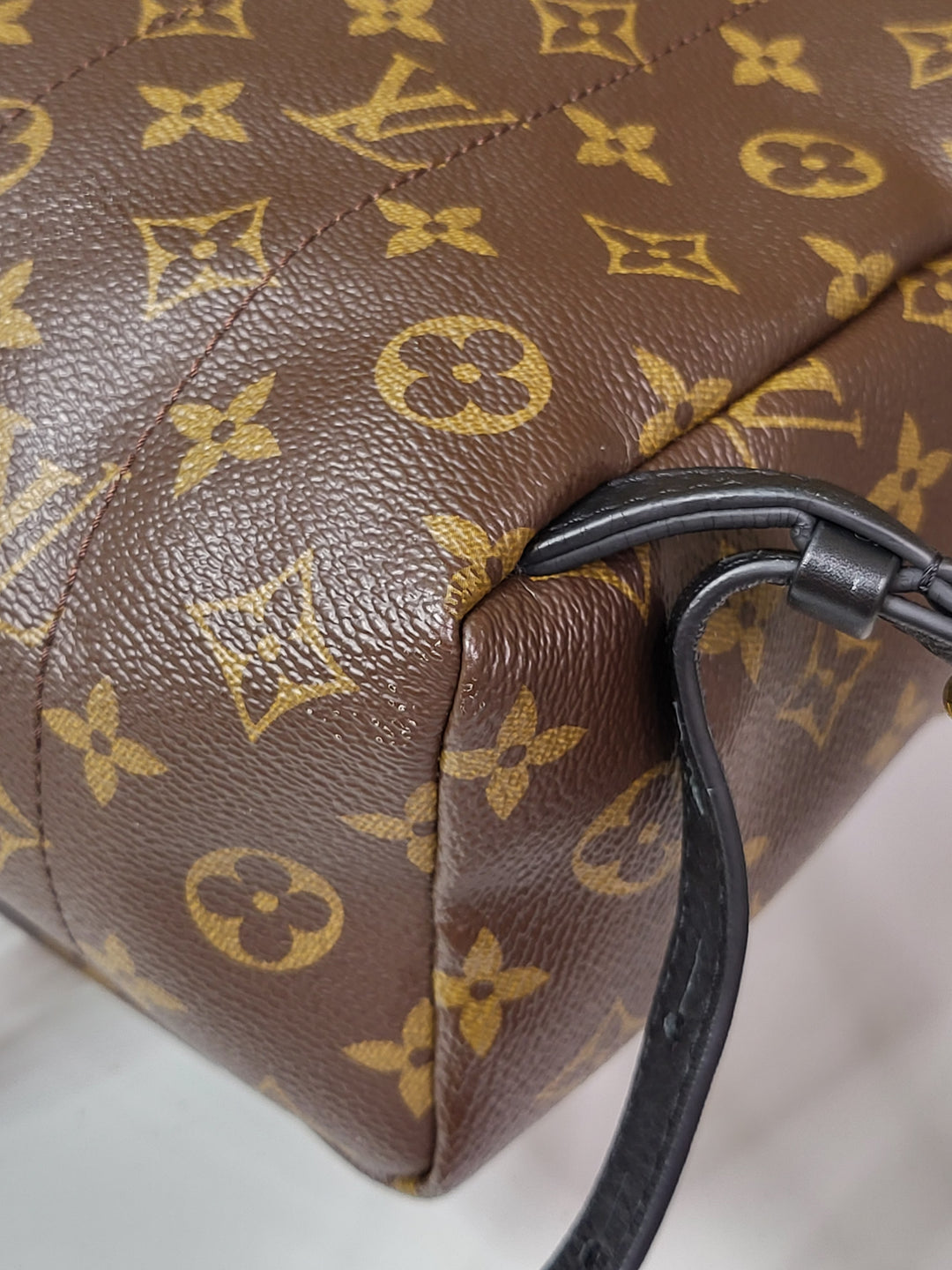 Louis Vuitton Monogram Palmspring PM