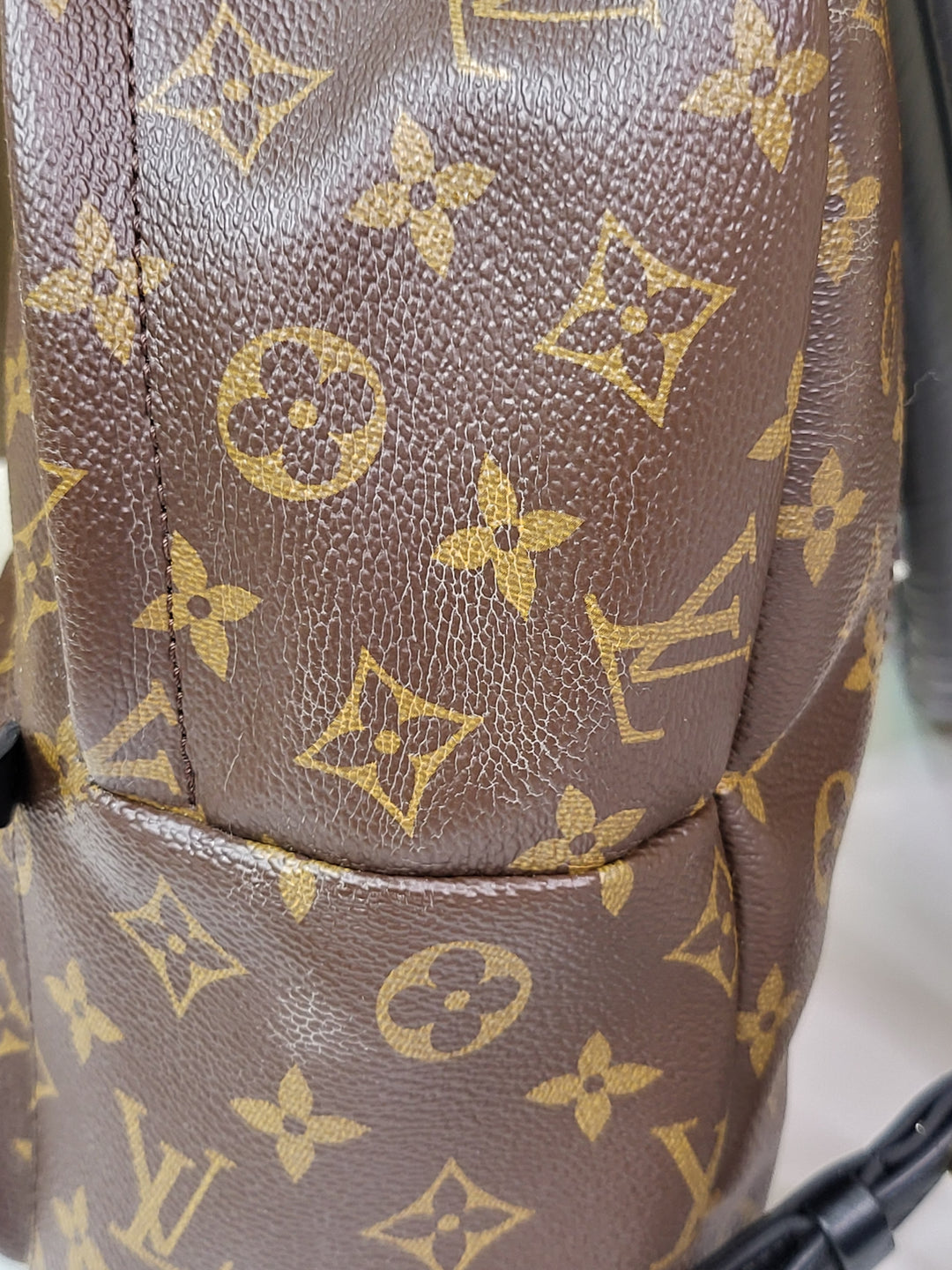 Louis Vuitton Monogram Palmspring PM