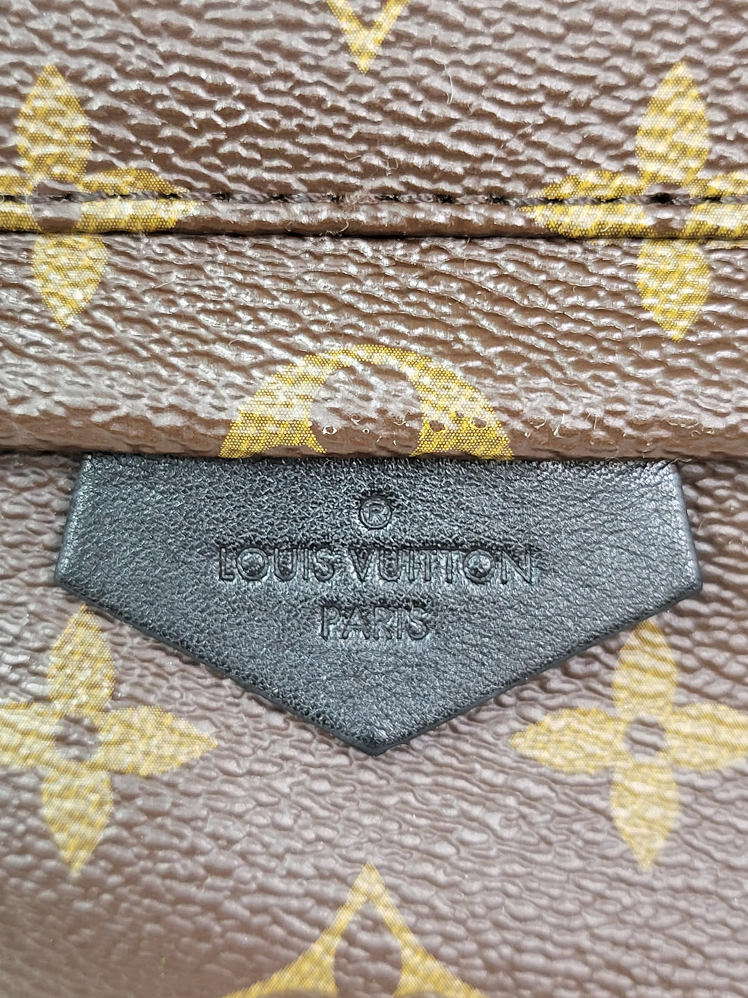 Louis Vuitton Monogram Palmspring PM