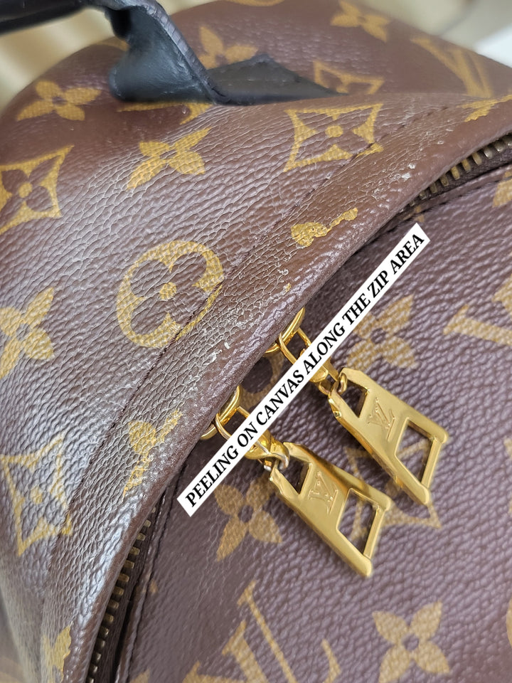 Louis Vuitton Monogram Palmspring PM