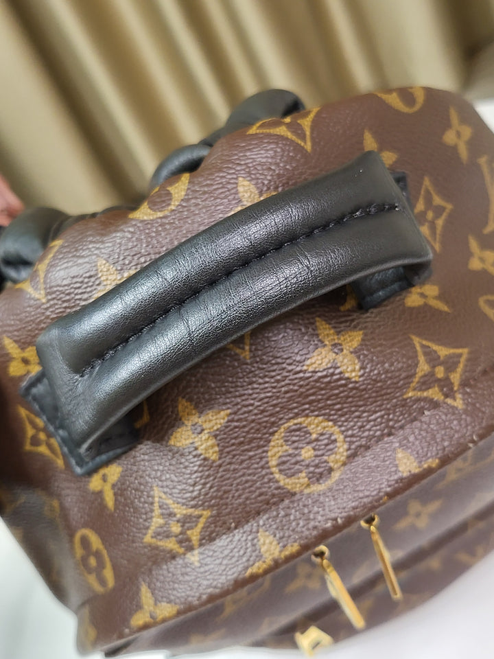 Louis Vuitton Monogram Palmspring PM