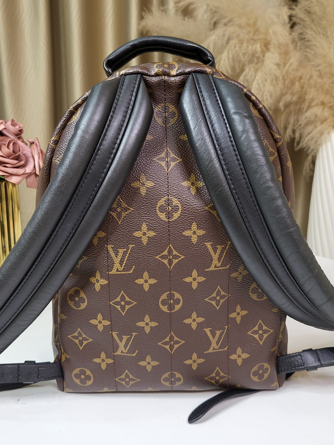 Louis Vuitton Monogram Palmspring PM