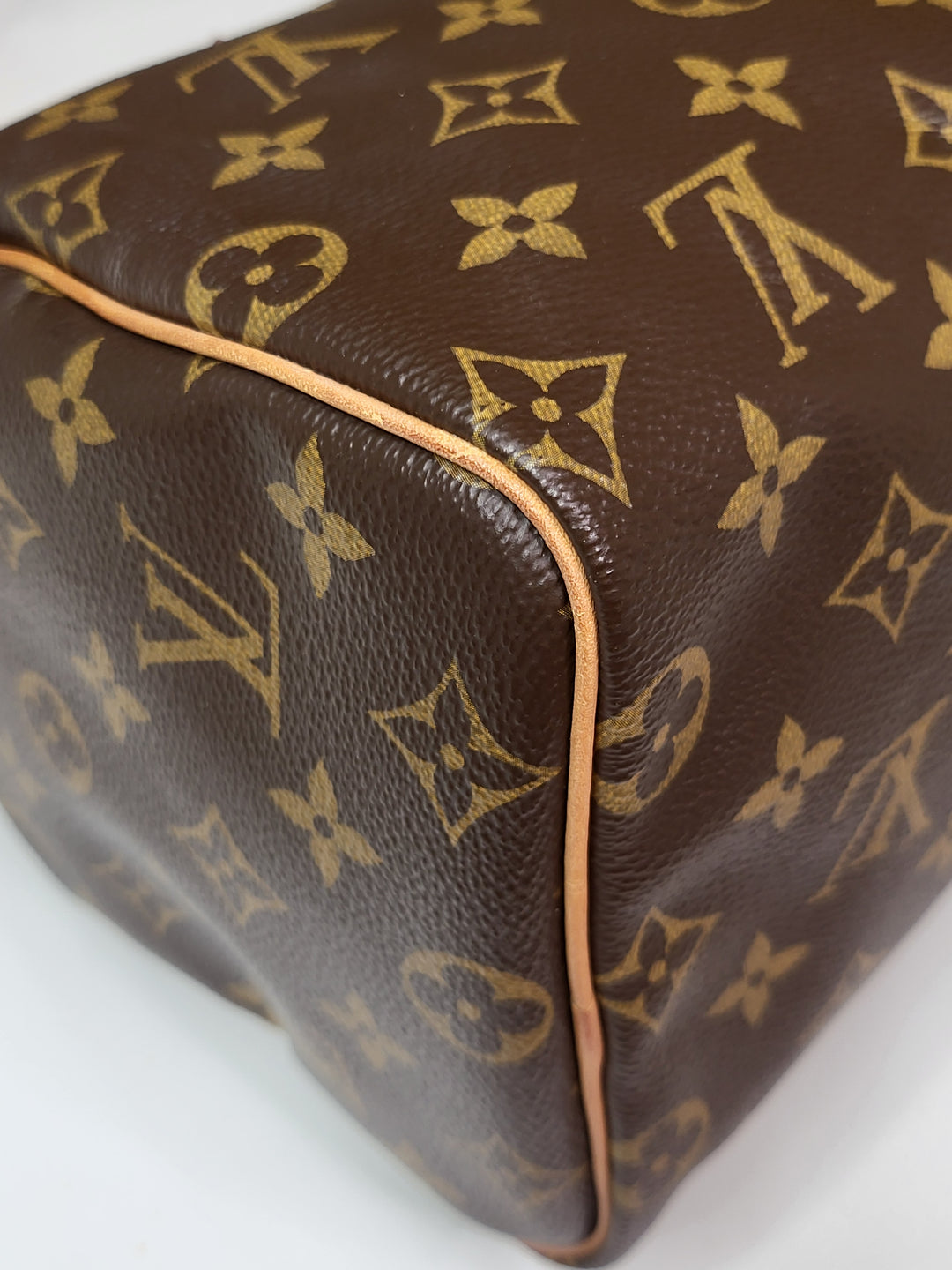 Louis Vuitton Monogram Speedy 25