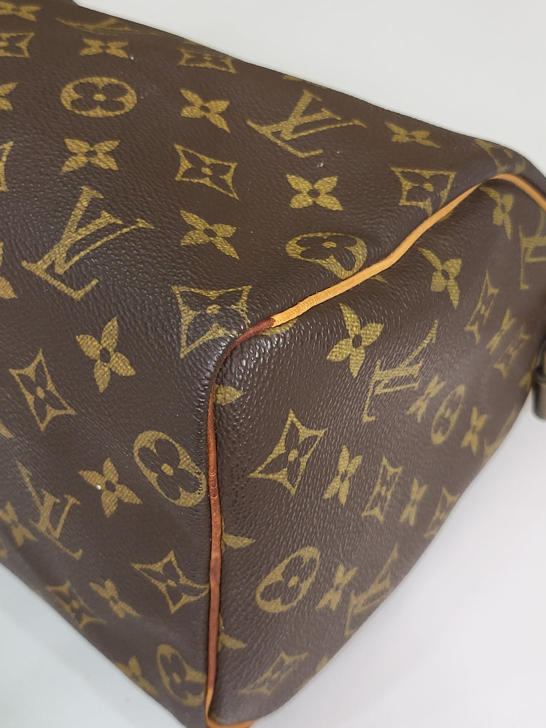 Louis Vuitton Monogram Speedy 25