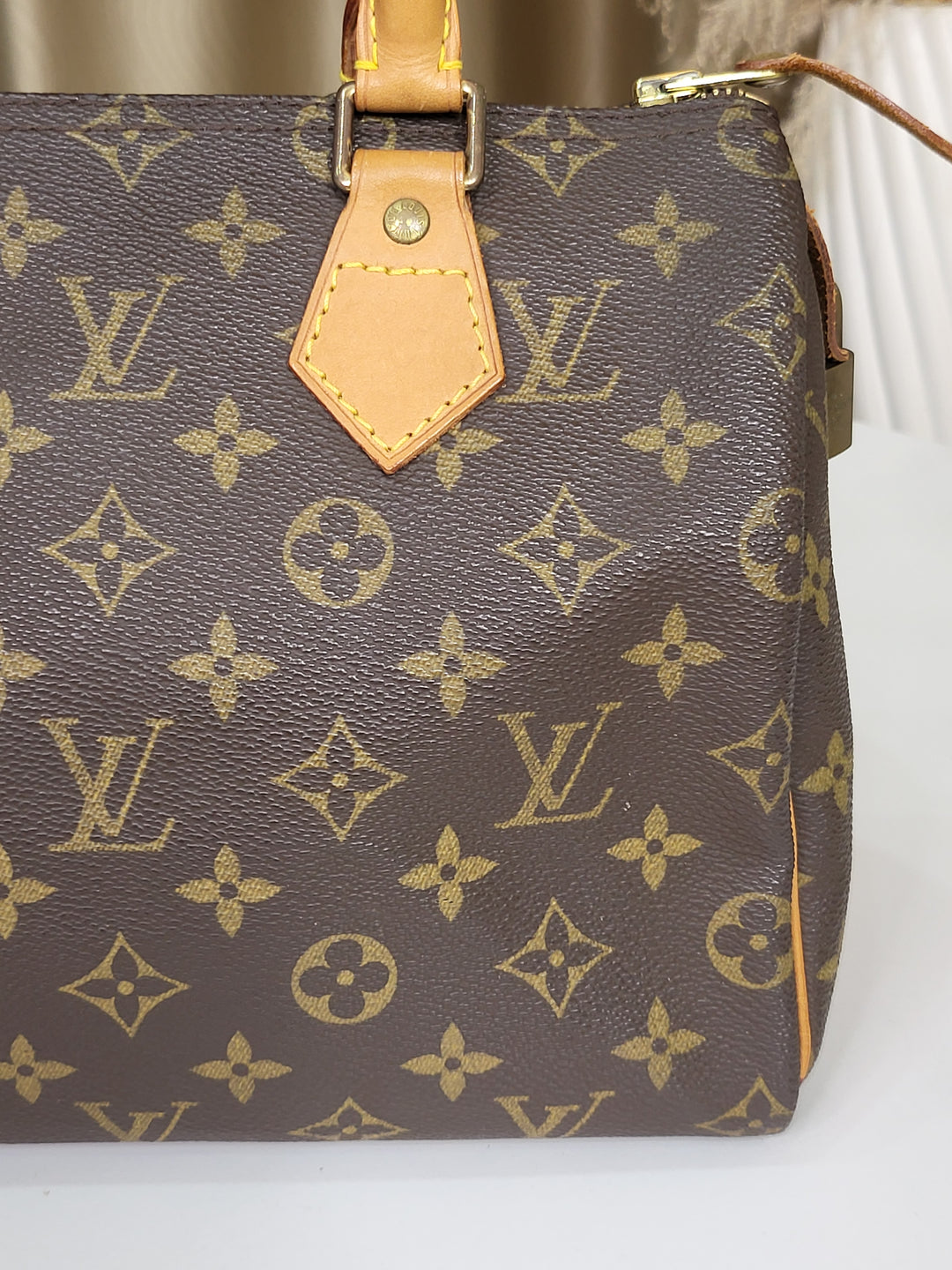 Louis Vuitton Monogram Speedy 25