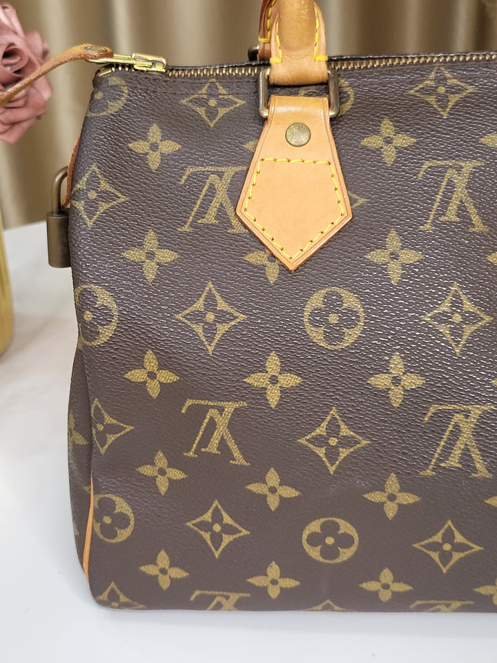 Louis Vuitton Monogram Speedy 25