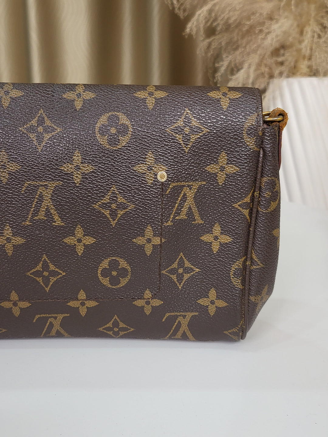 Louis Vuitton Monogram Favorite MM