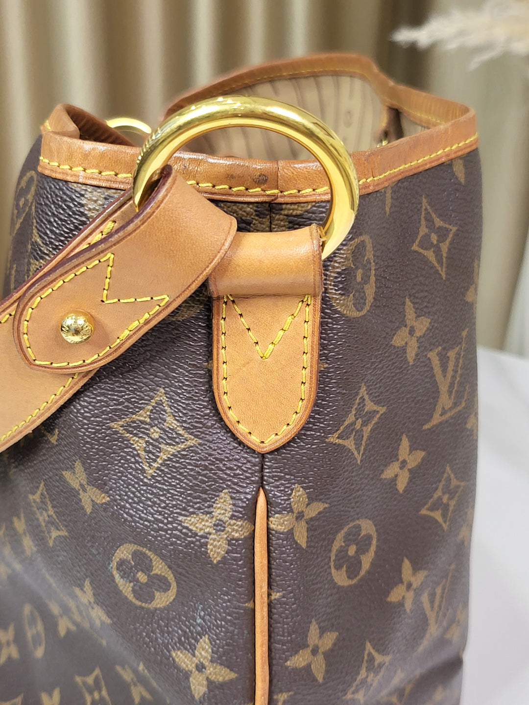 Louis Vuitton Monogram Delightful PM