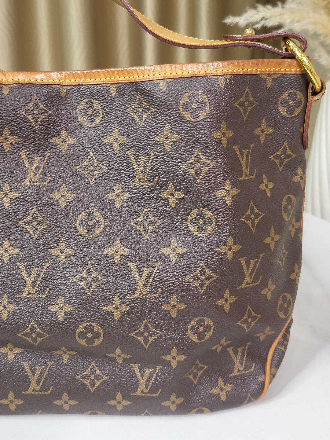 Louis Vuitton Monogram Delightful PM