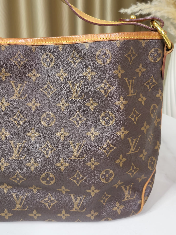 Louis Vuitton Monogram Delightful PM