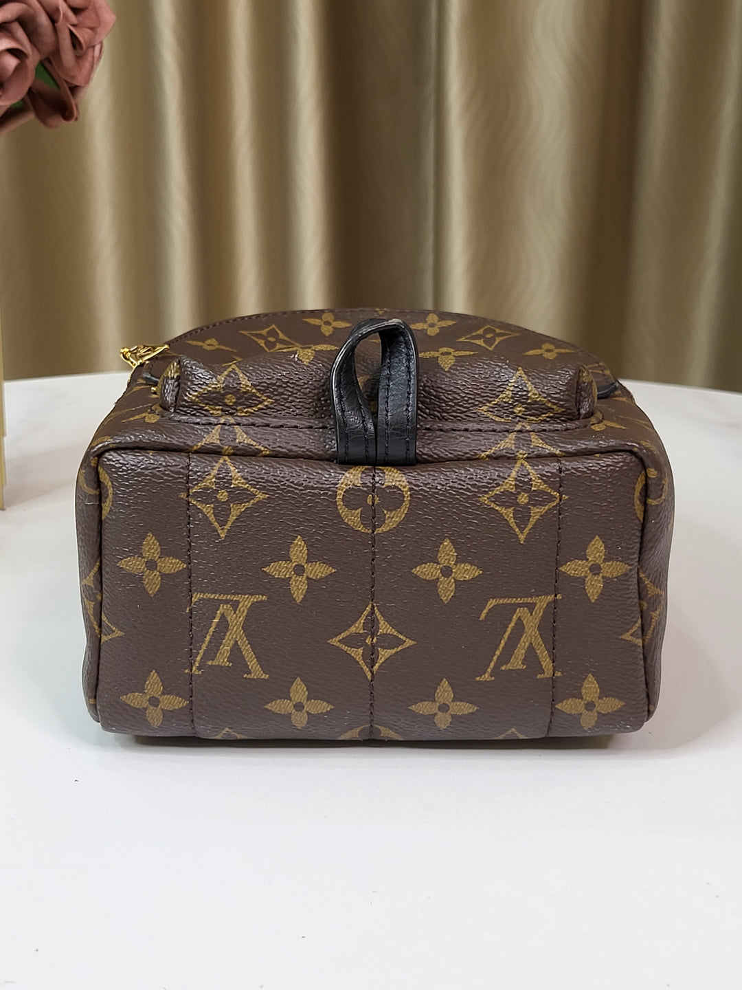 Louis Vuitton Monogram Palmspring Mini