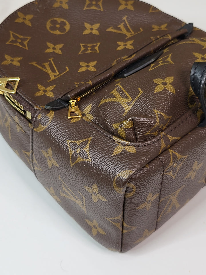 Louis Vuitton Monogram Palmspring Mini