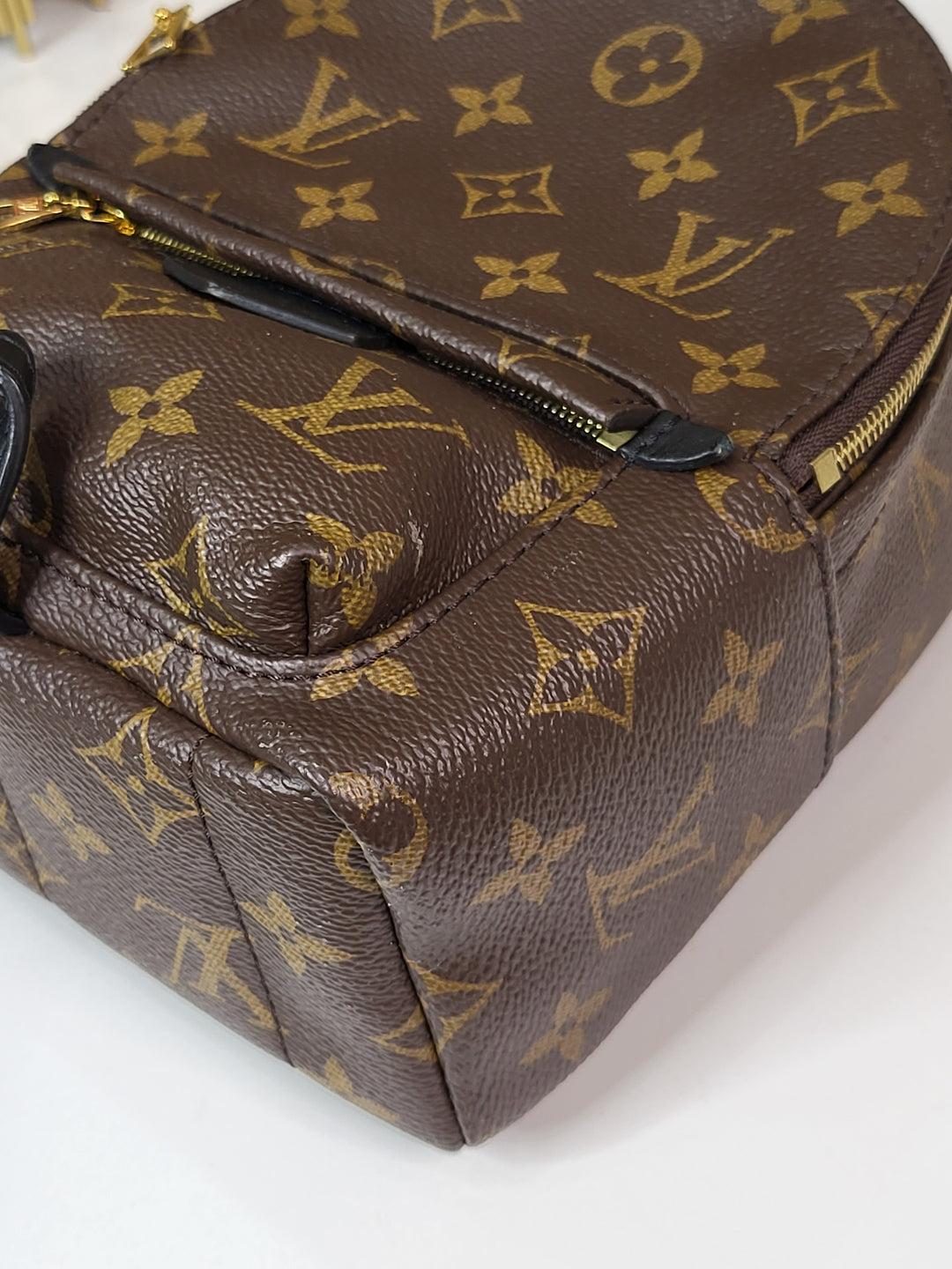 Louis Vuitton Monogram Palmspring Mini