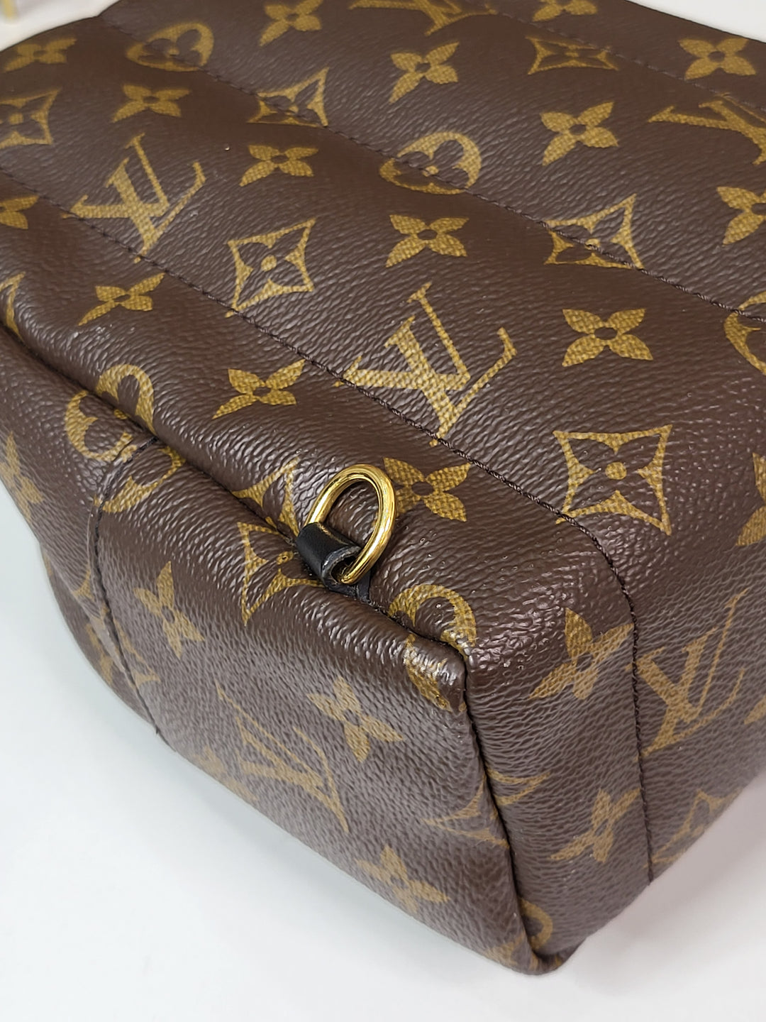 Louis Vuitton Monogram Palmspring Mini