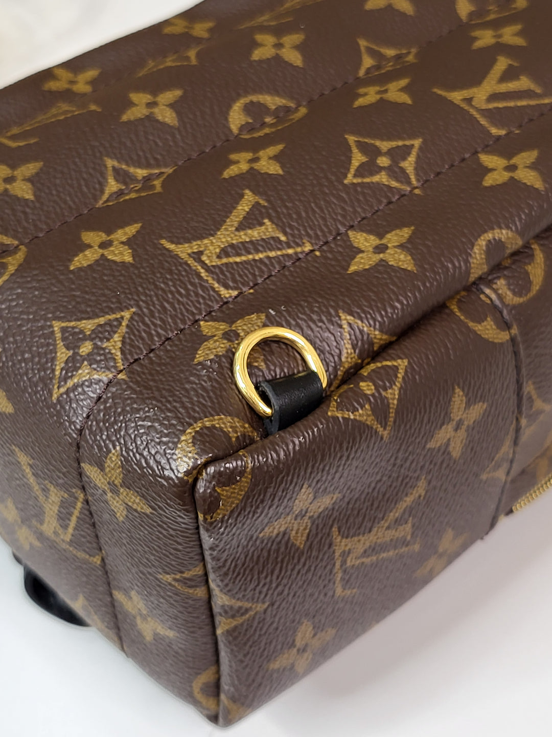 Louis Vuitton Monogram Palmspring Mini
