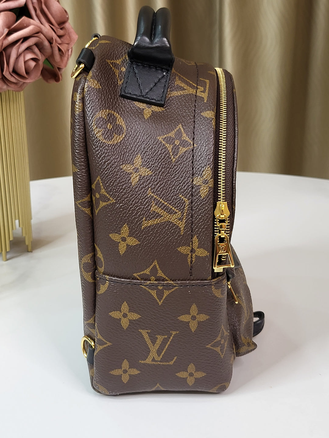 Louis Vuitton Monogram Palmspring Mini