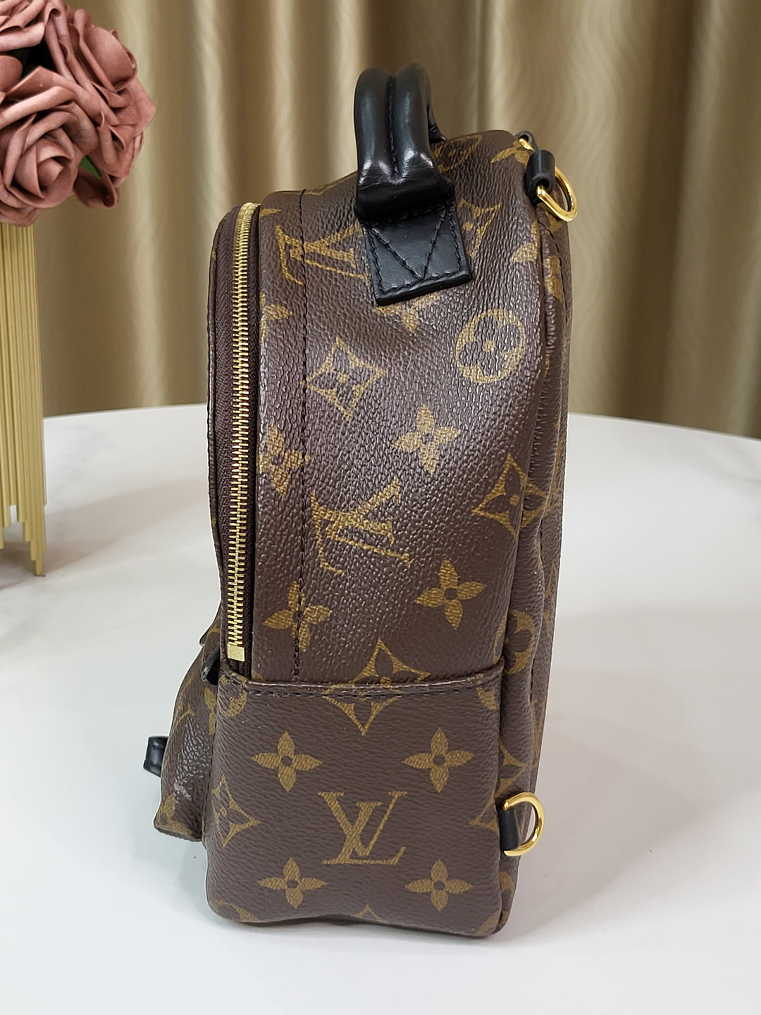 Louis Vuitton Monogram Palmspring Mini