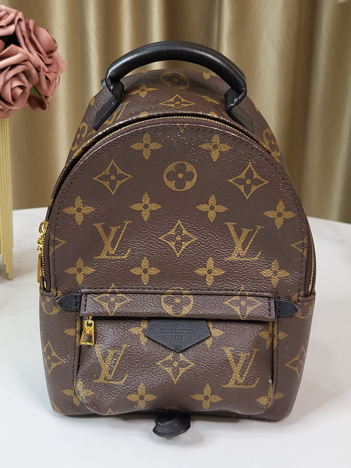 Louis Vuitton Monogram Palmspring Mini