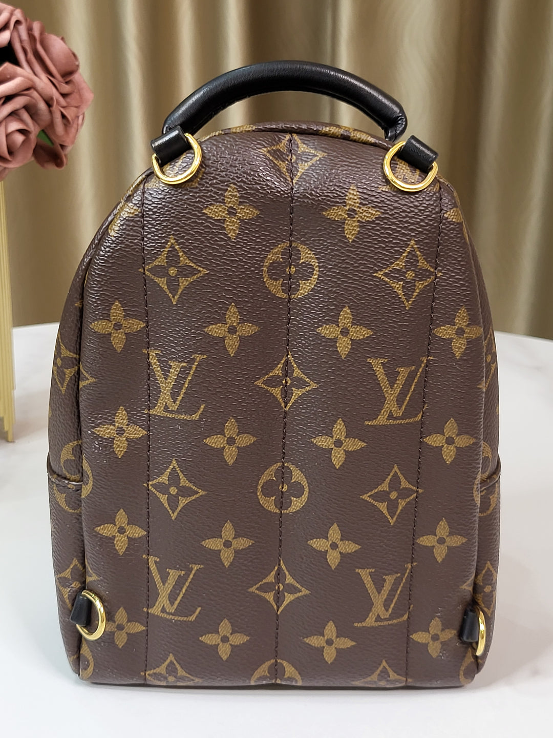 Louis Vuitton Monogram Palmspring Mini