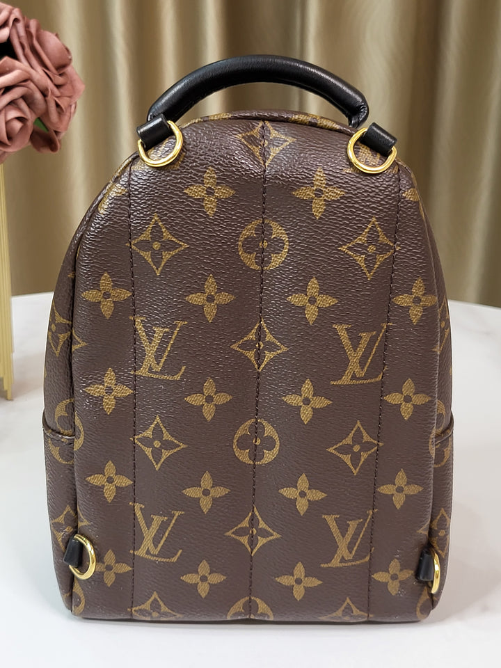 Louis Vuitton Monogram Palmspring Mini