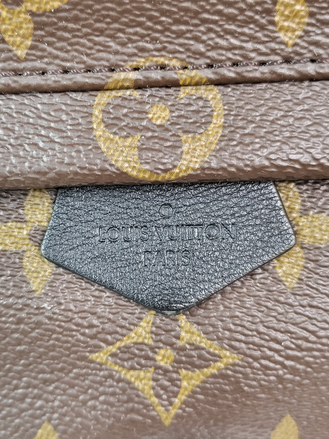 Louis Vuitton Monogram Palmspring Mini