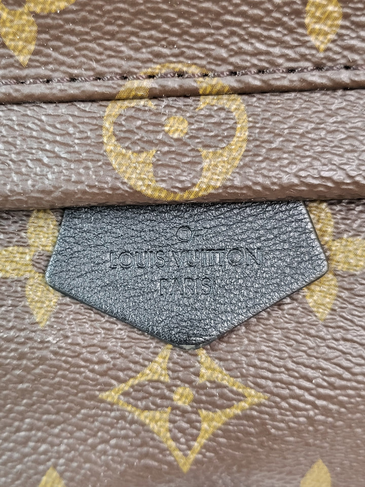 Louis Vuitton Monogram Palmspring Mini