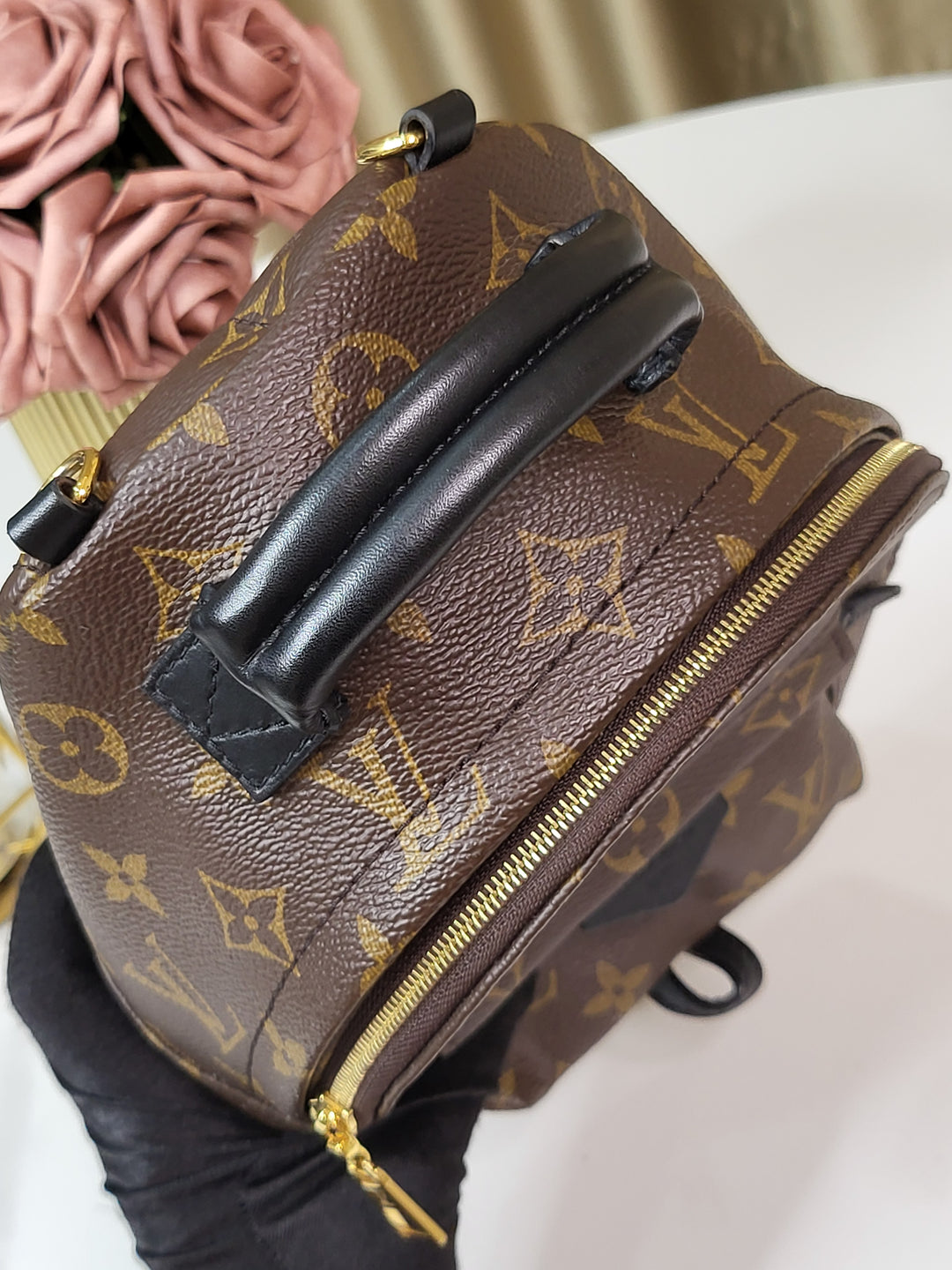 Louis Vuitton Monogram Palmspring Mini