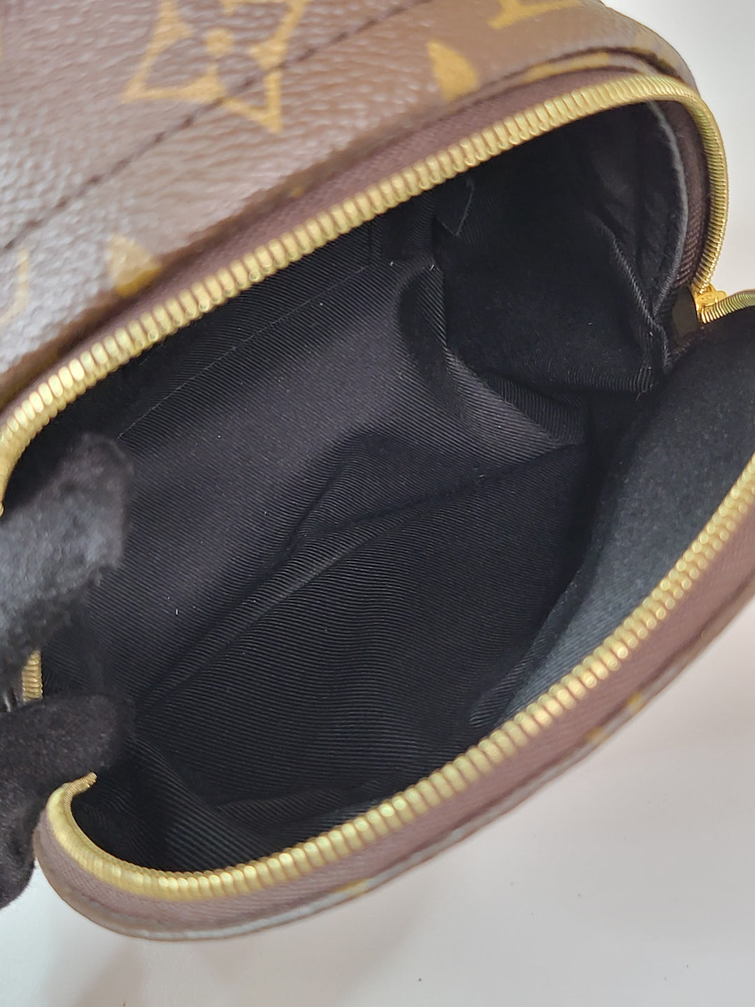 Louis Vuitton Monogram Palmspring Mini