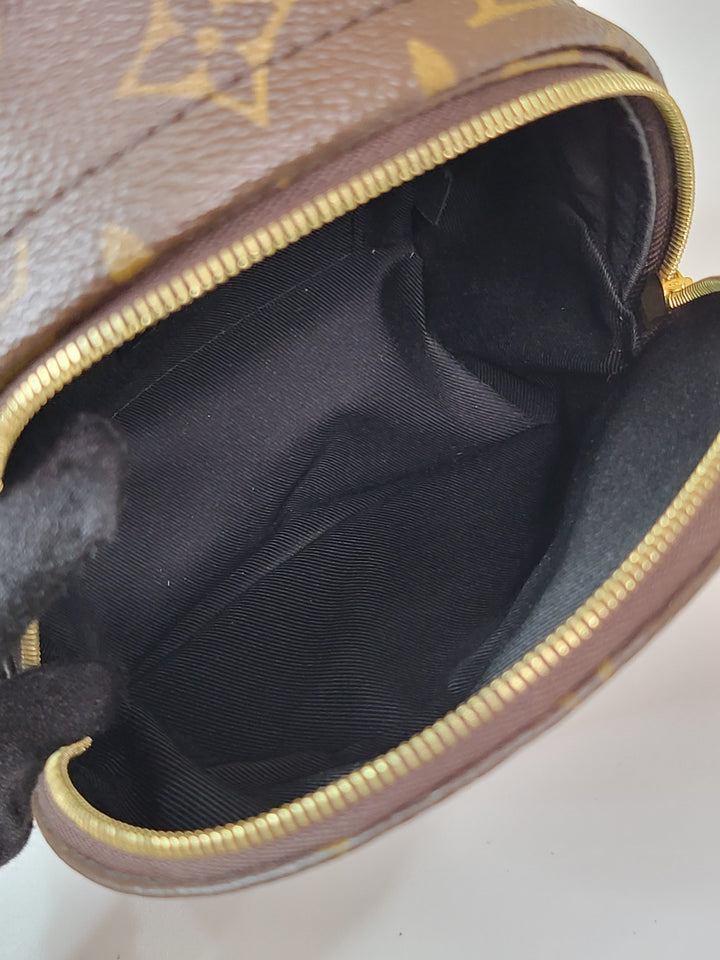 Louis Vuitton Monogram Palmspring Mini