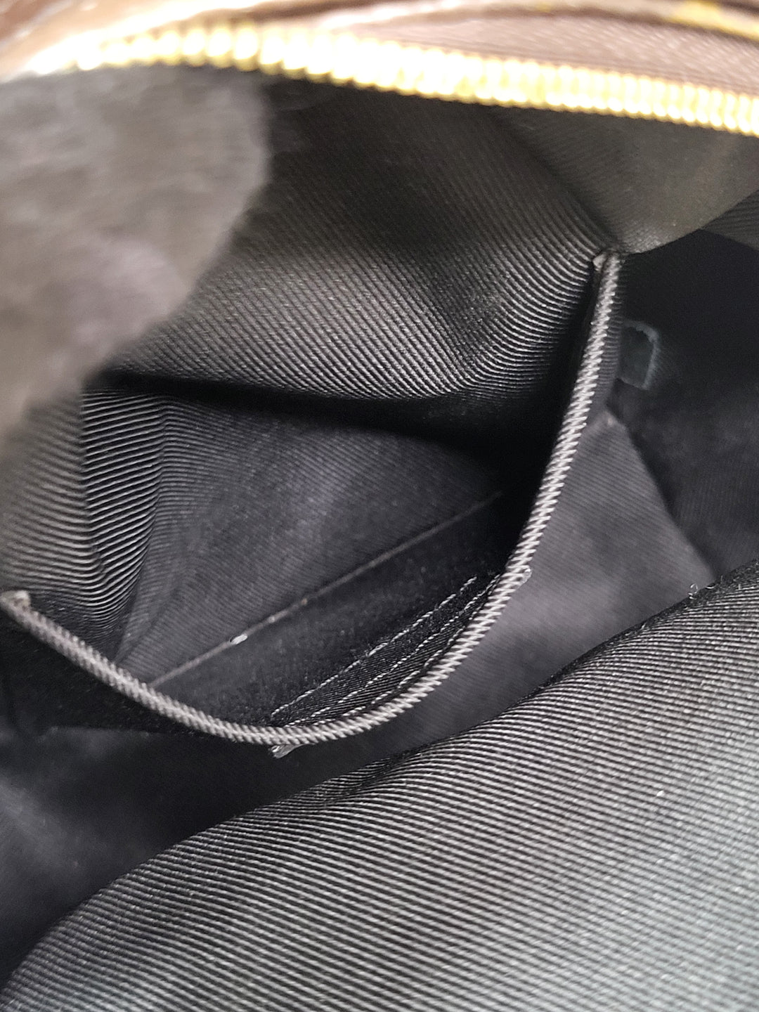 Louis Vuitton Monogram Palmspring Mini