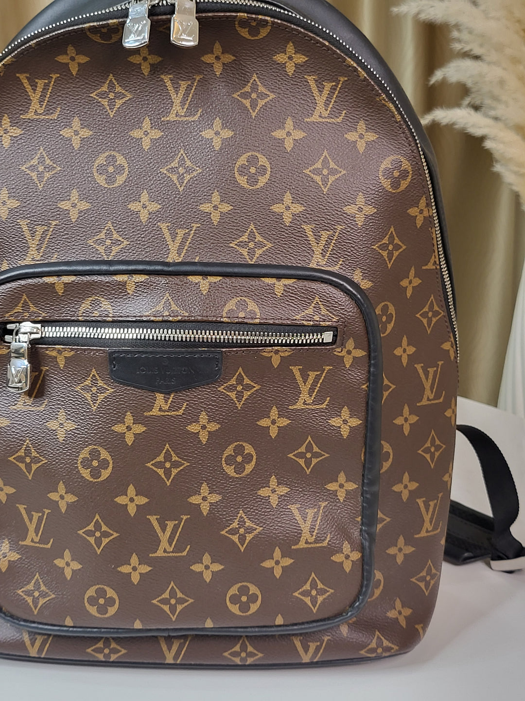 Louis Vuitton Macassar Josh Backpack