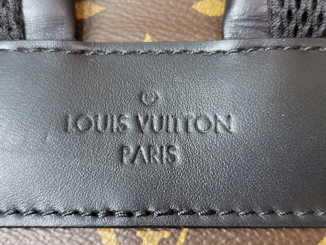 Louis Vuitton Macassar Josh Backpack
