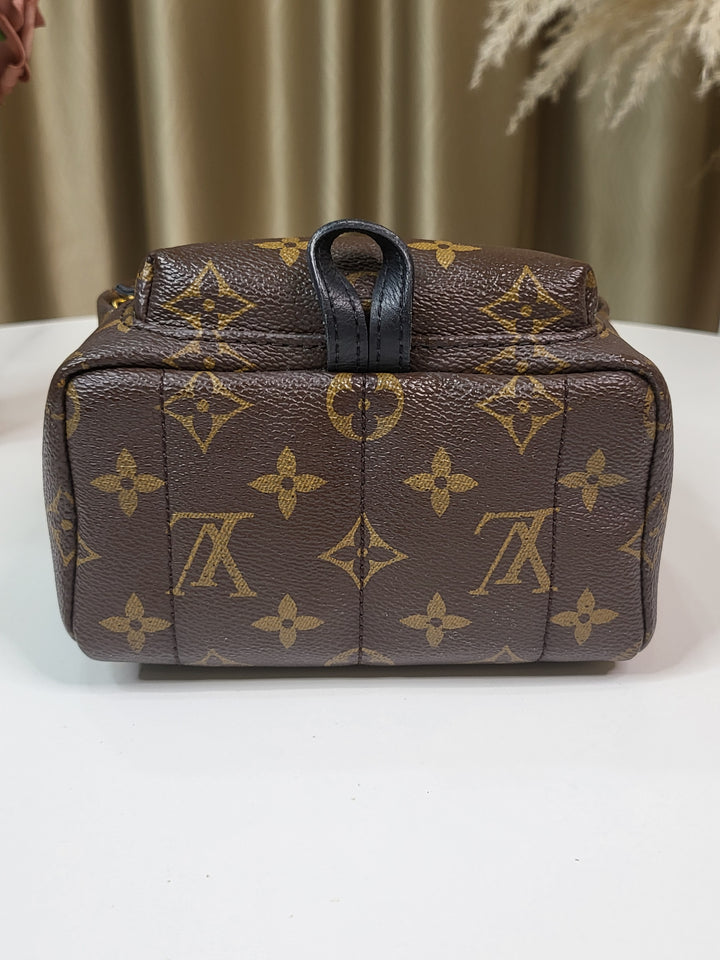 Louis Vuitton Monogram Palmspring PM