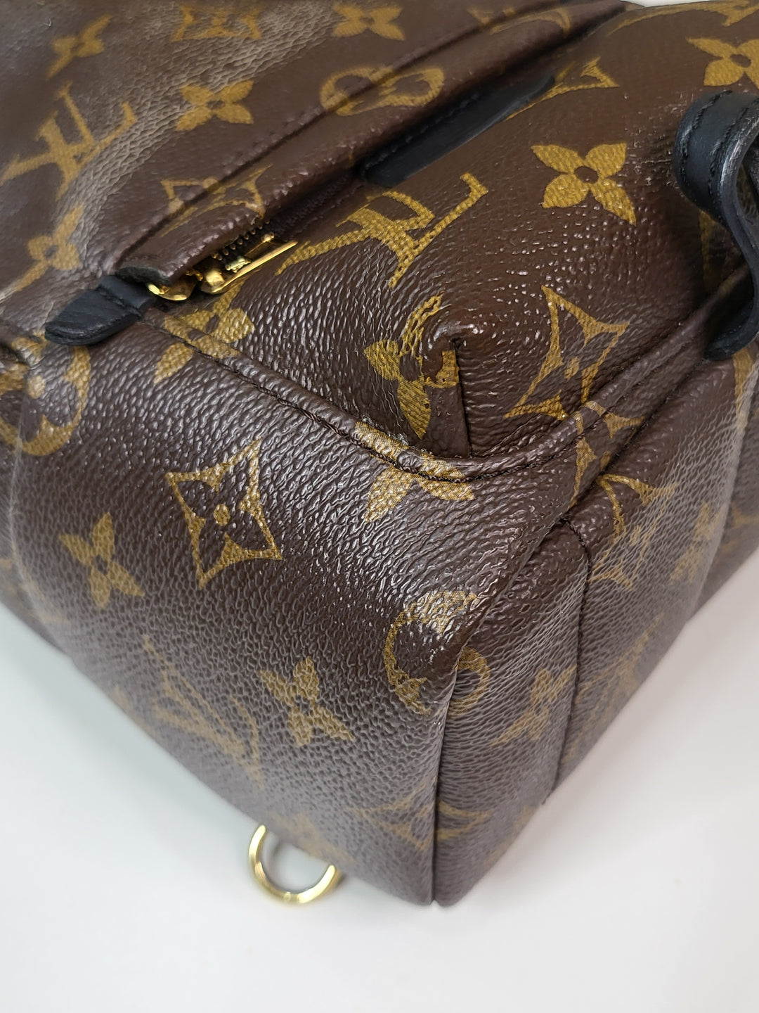 Louis Vuitton Monogram Palmspring PM