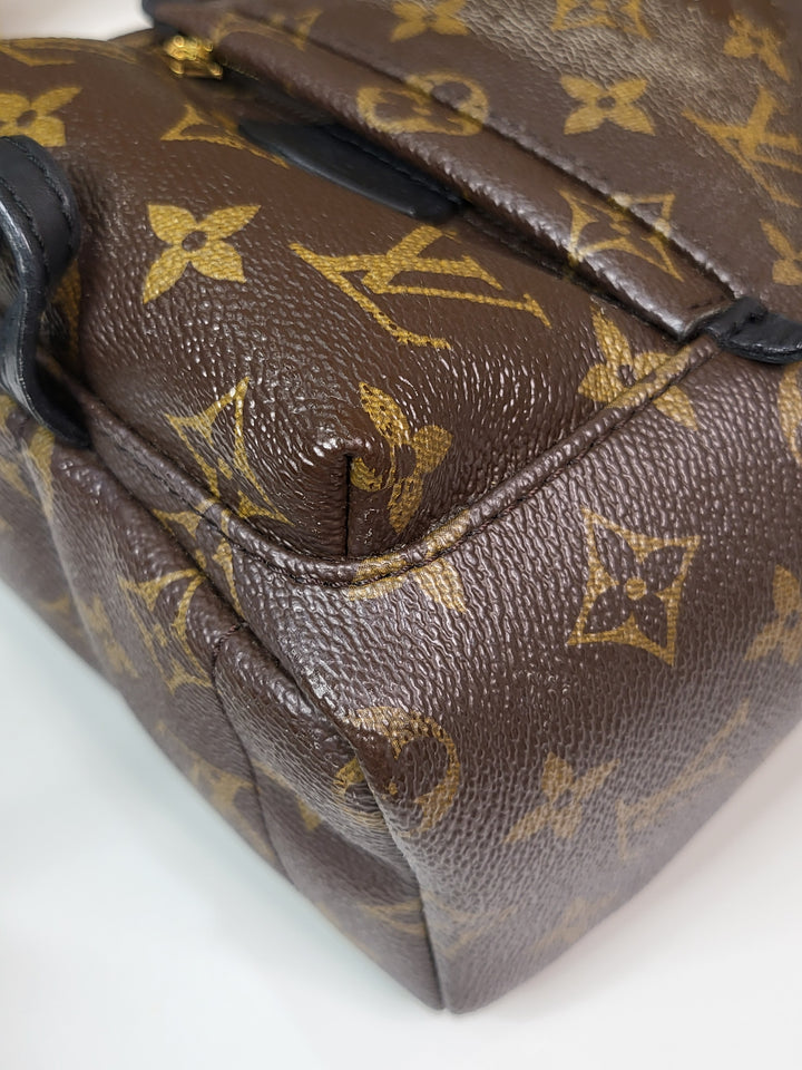 Louis Vuitton Monogram Palmspring PM