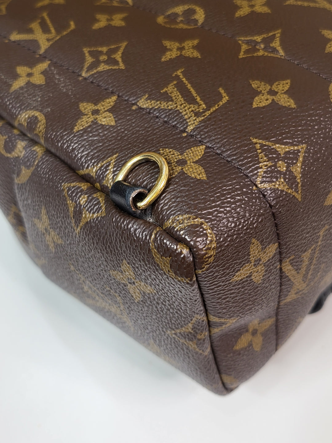 Louis Vuitton Monogram Palmspring PM