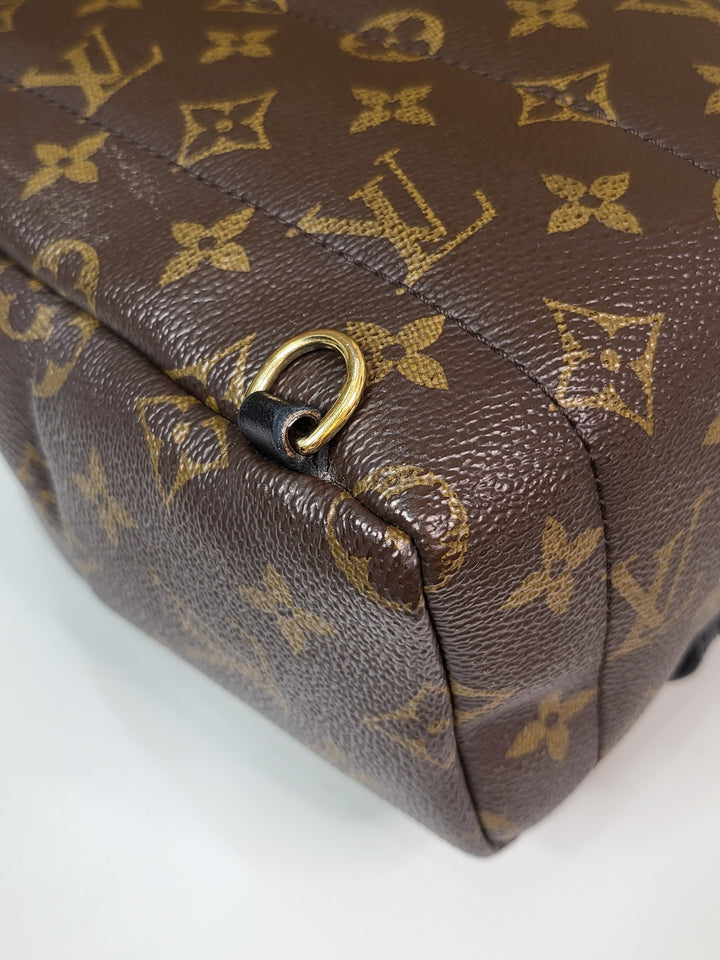 Louis Vuitton Monogram Palmspring PM